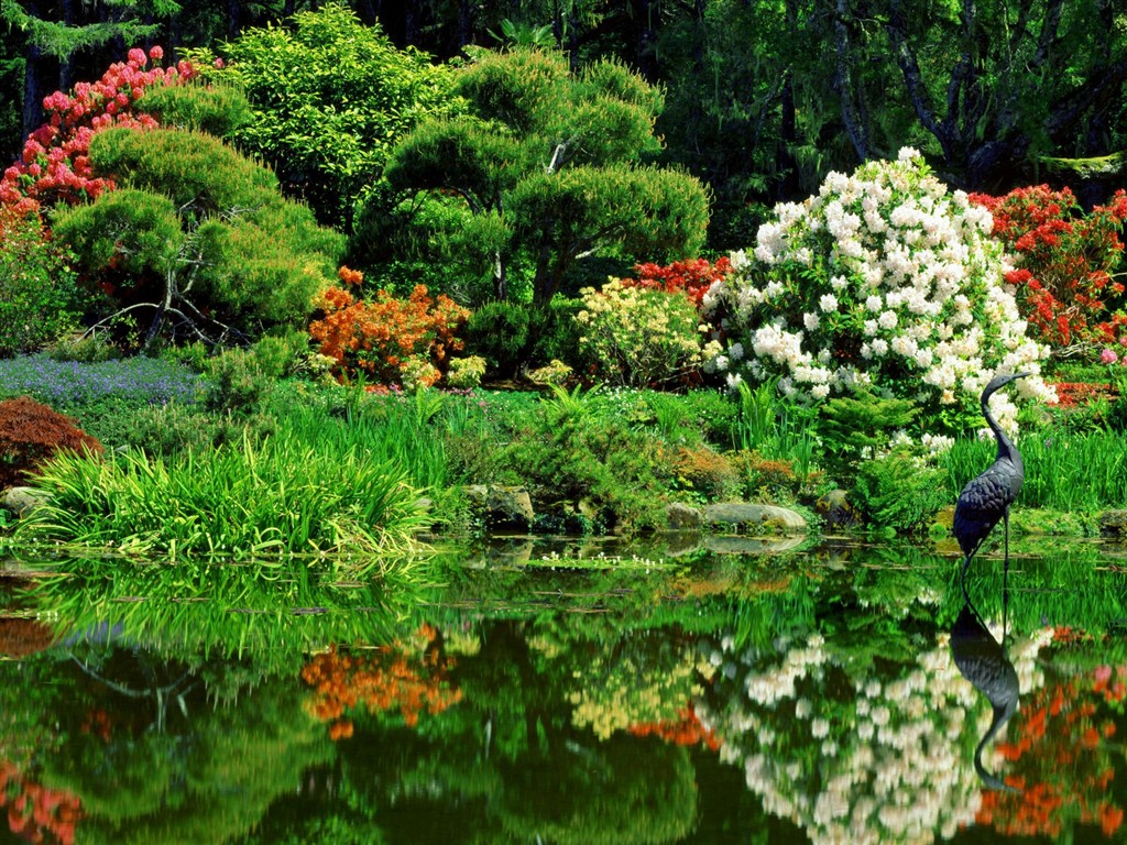 美丽鲜花桌面壁纸(一)25 - 1024x768