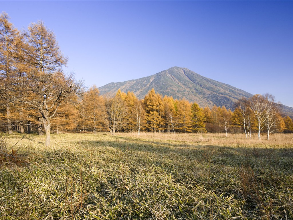 escenarios naturales del Japón Wallpaper #1 - 1024x768