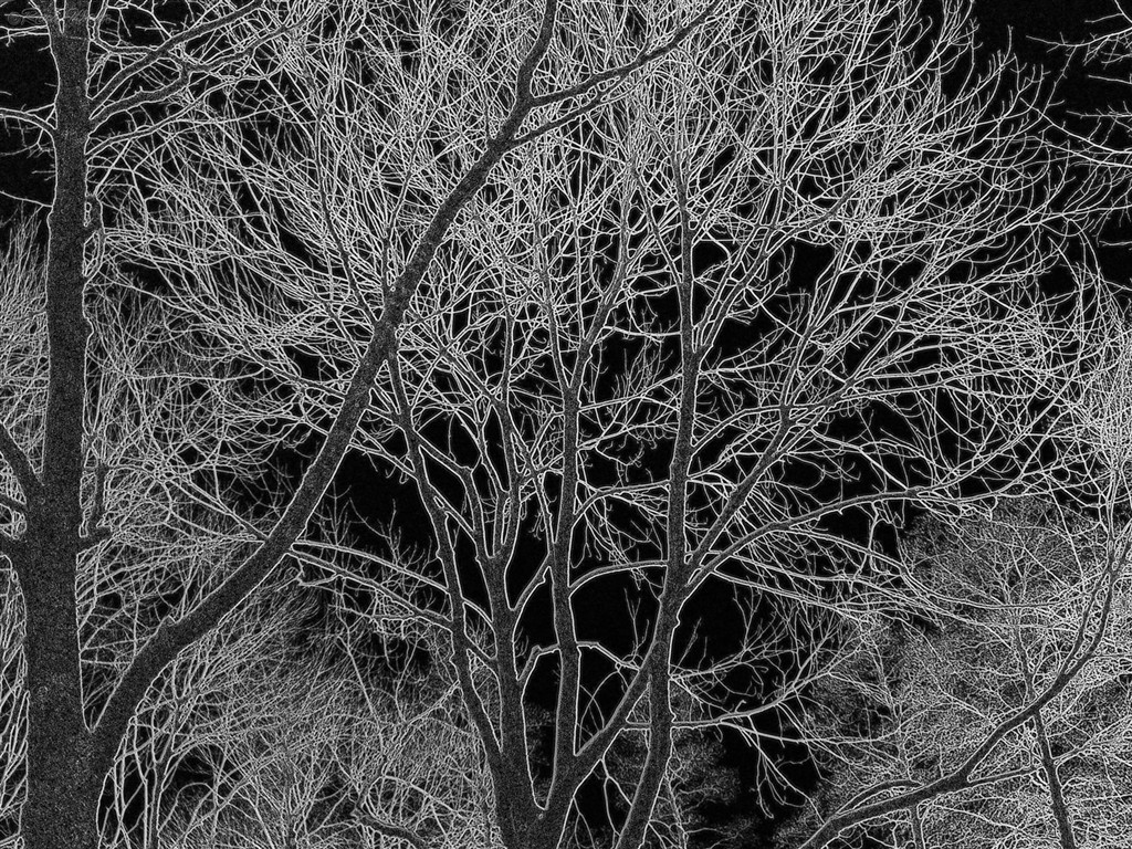 Wallpaper Design non conventionnelles (2) #38 - 1024x768