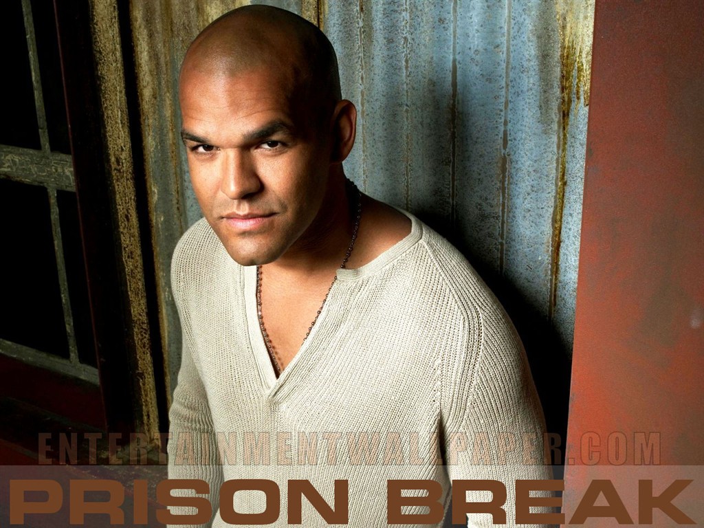 Prison Break wallpaper #16 - 1024x768