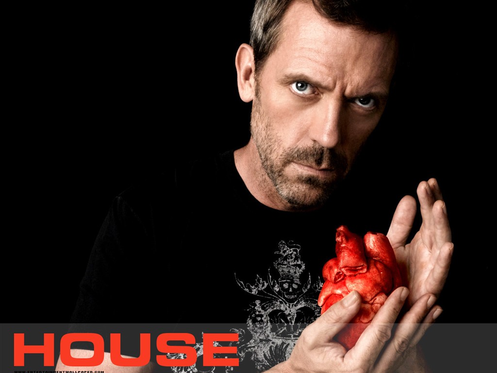 House M.D.豪斯醫生壁紙專輯 #16 - 1024x768