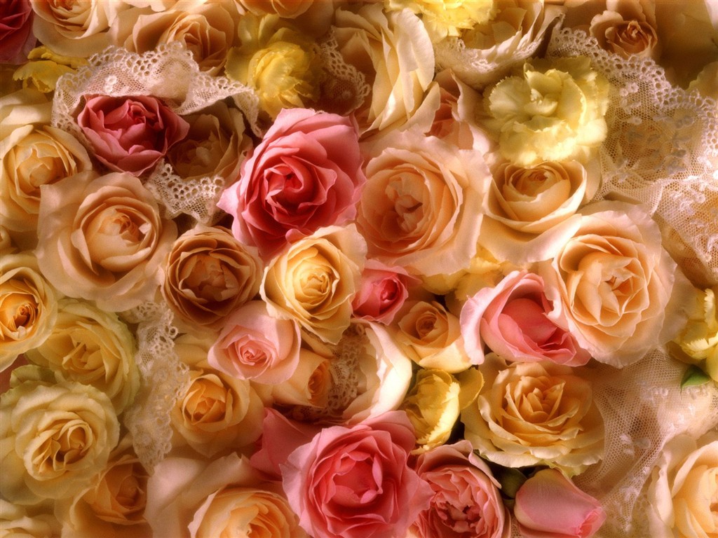 아름다운 꽃 벽지 (3) #35 - 1024x768