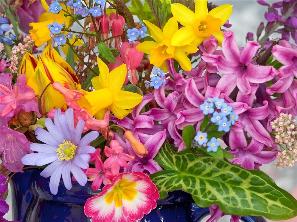 Belles fleurs fonds d'écran (3) #42 - 1024x768