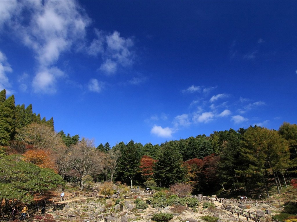 Japan Tour: Montañas Rokko hojas #9 - 1024x768