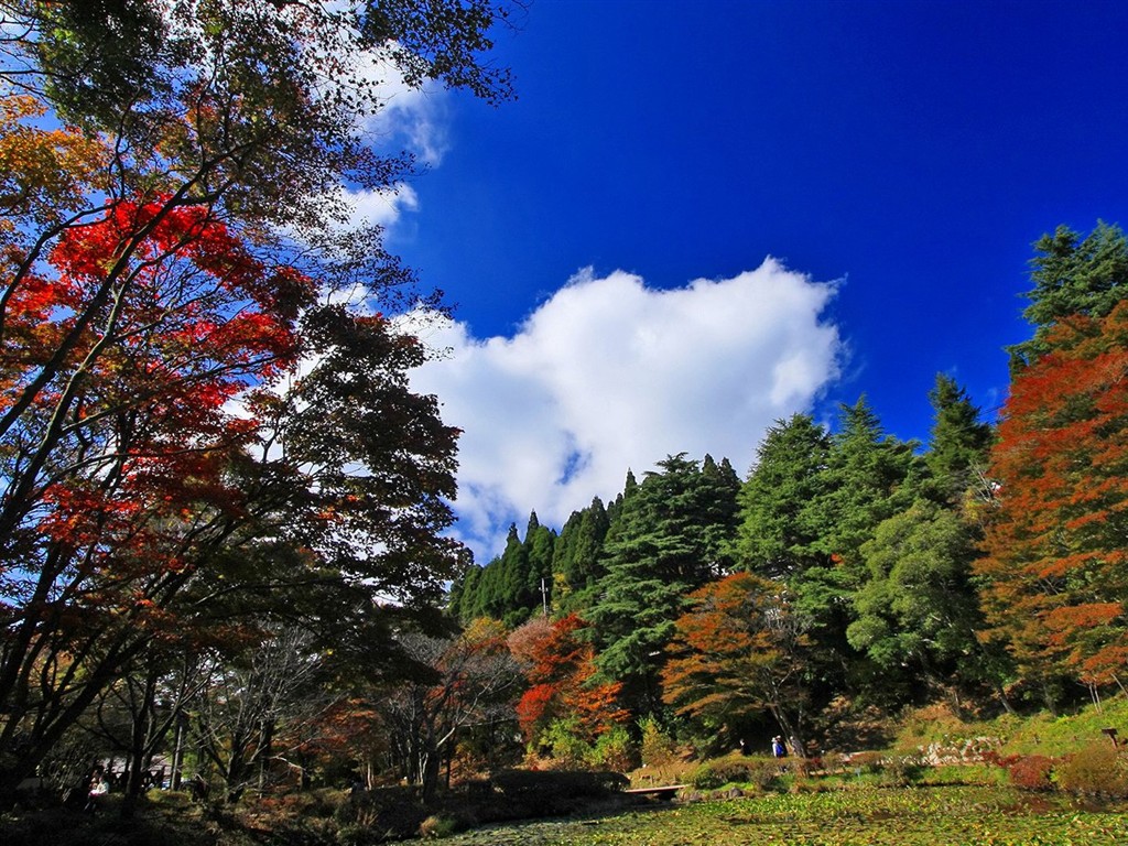 日本之旅：六甲山之紅葉 #10 - 1024x768