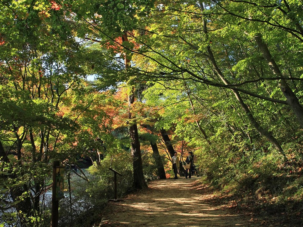 Japan Tour: Rokko Mountain feuilles #19 - 1024x768