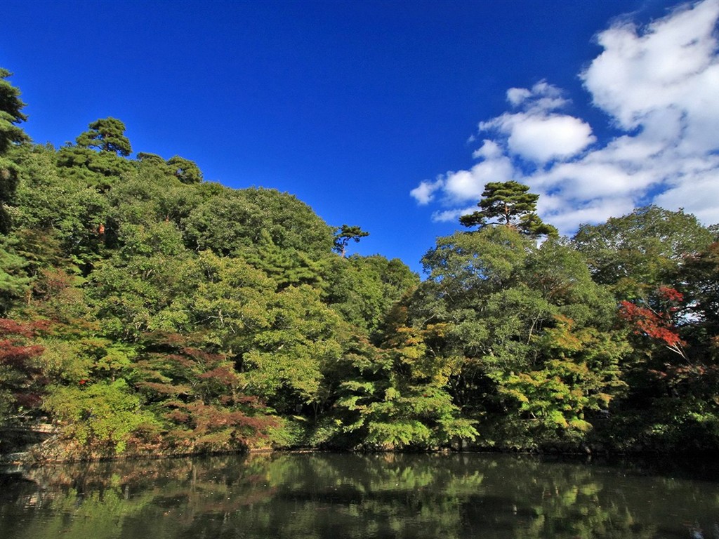 Japan Tour: Montañas Rokko hojas #20 - 1024x768