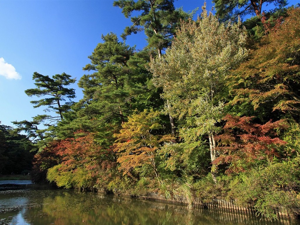 Japan Tour: Rokko Mountain leaves #26 - 1024x768