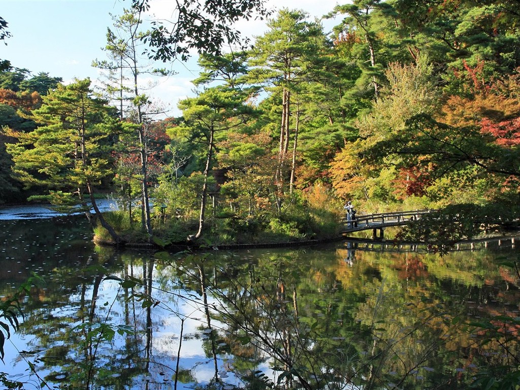 Japan Tour: Montañas Rokko hojas #28 - 1024x768