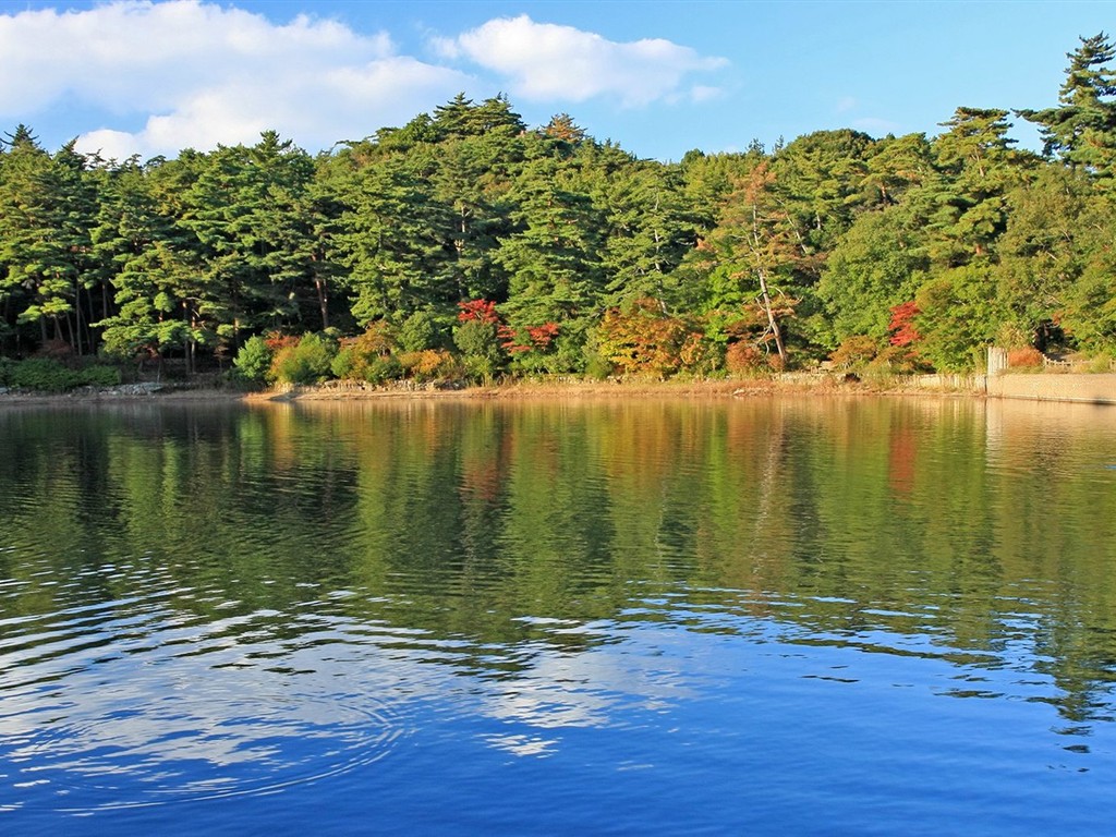 日本之旅：六甲山之紅葉 #30 - 1024x768