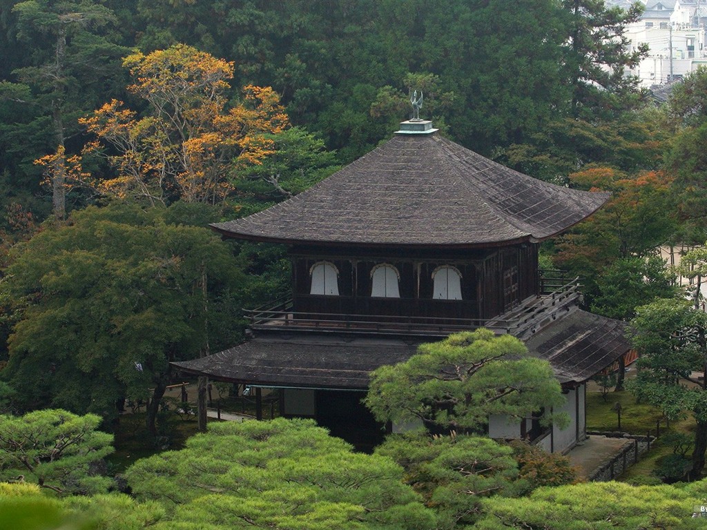 寧靜庭園 公園美景壁紙 #5 - 1024x768