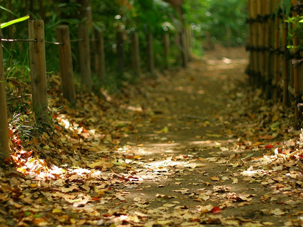 寧靜庭園 公園美景壁紙 #19 - 1024x768