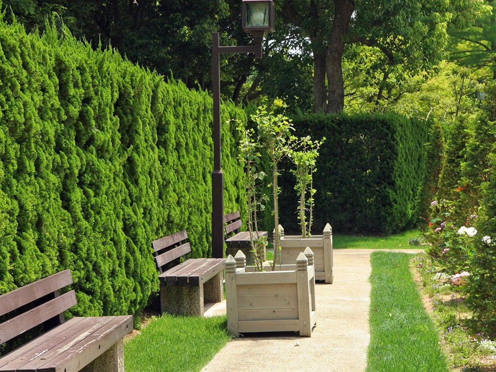 Parc beau fond d'écran #21 - 1024x768