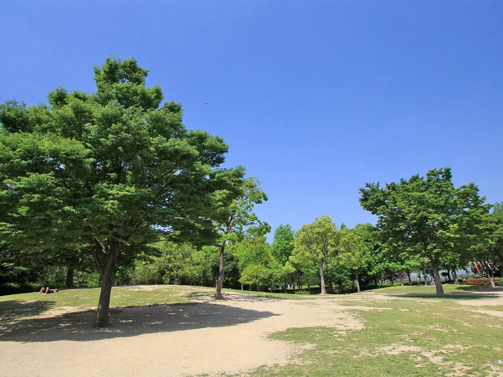 Parc beau fond d'écran #26 - 1024x768