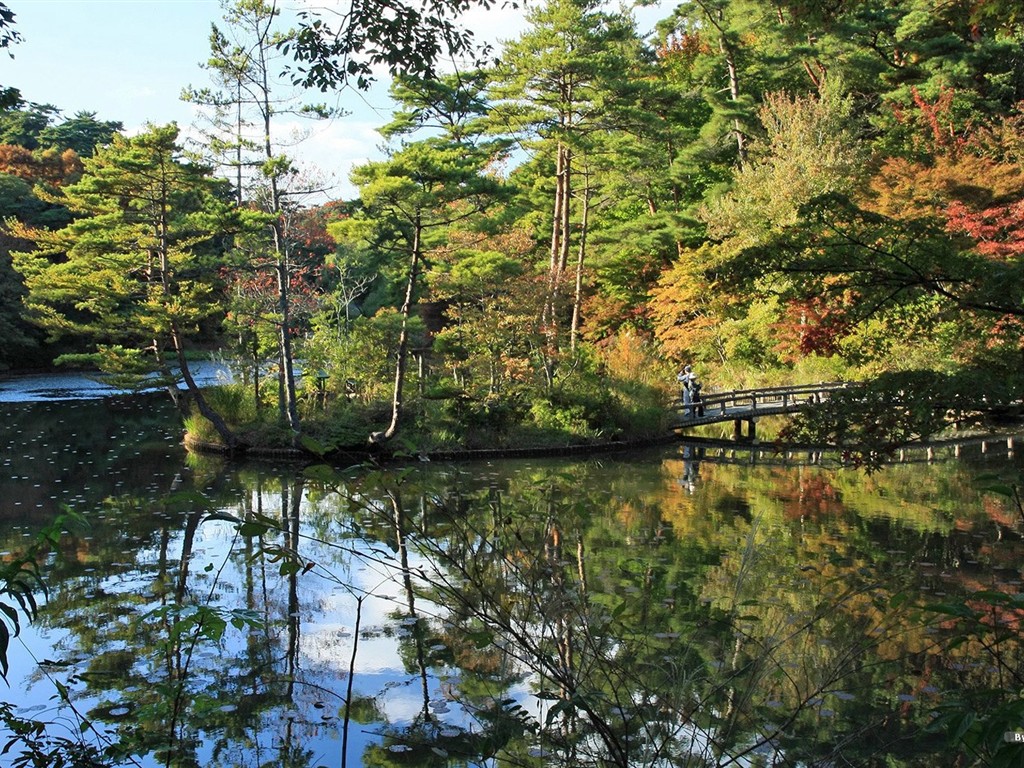 宁静庭园 公园美景壁纸30 - 1024x768