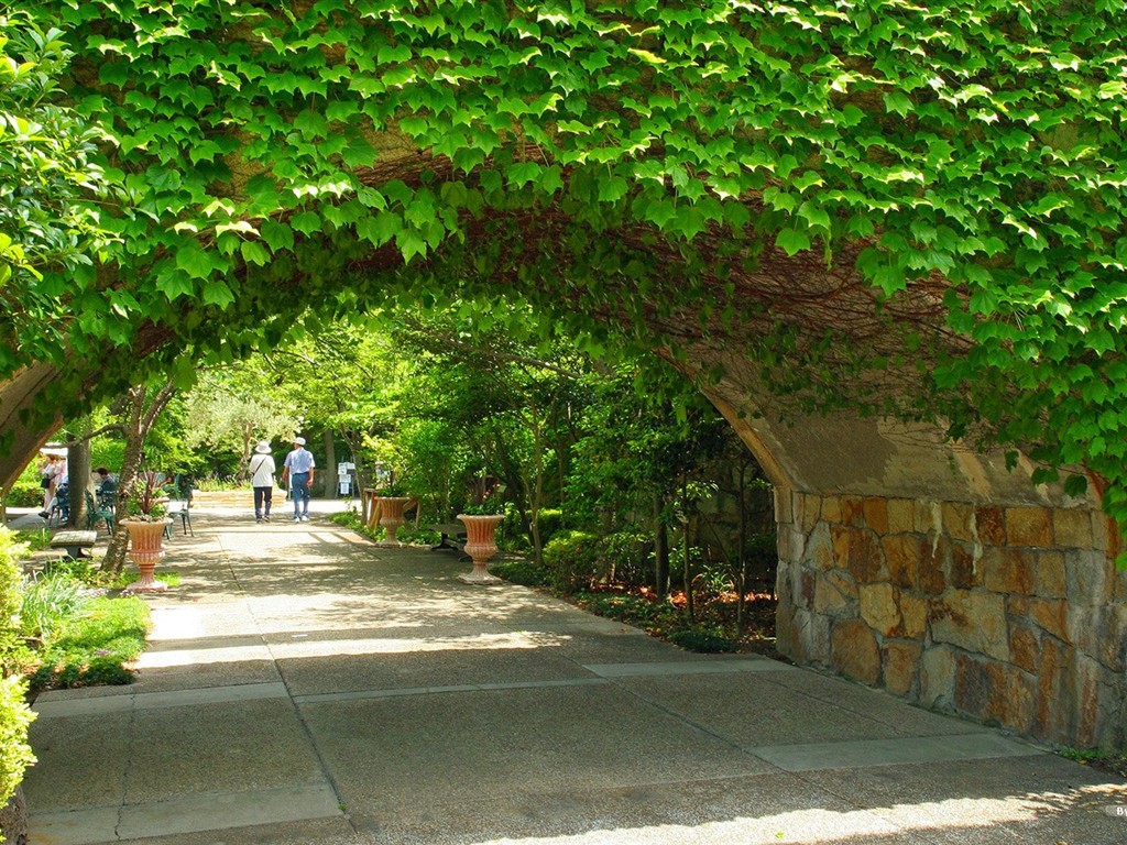 Park krásnou tapetu #32 - 1024x768