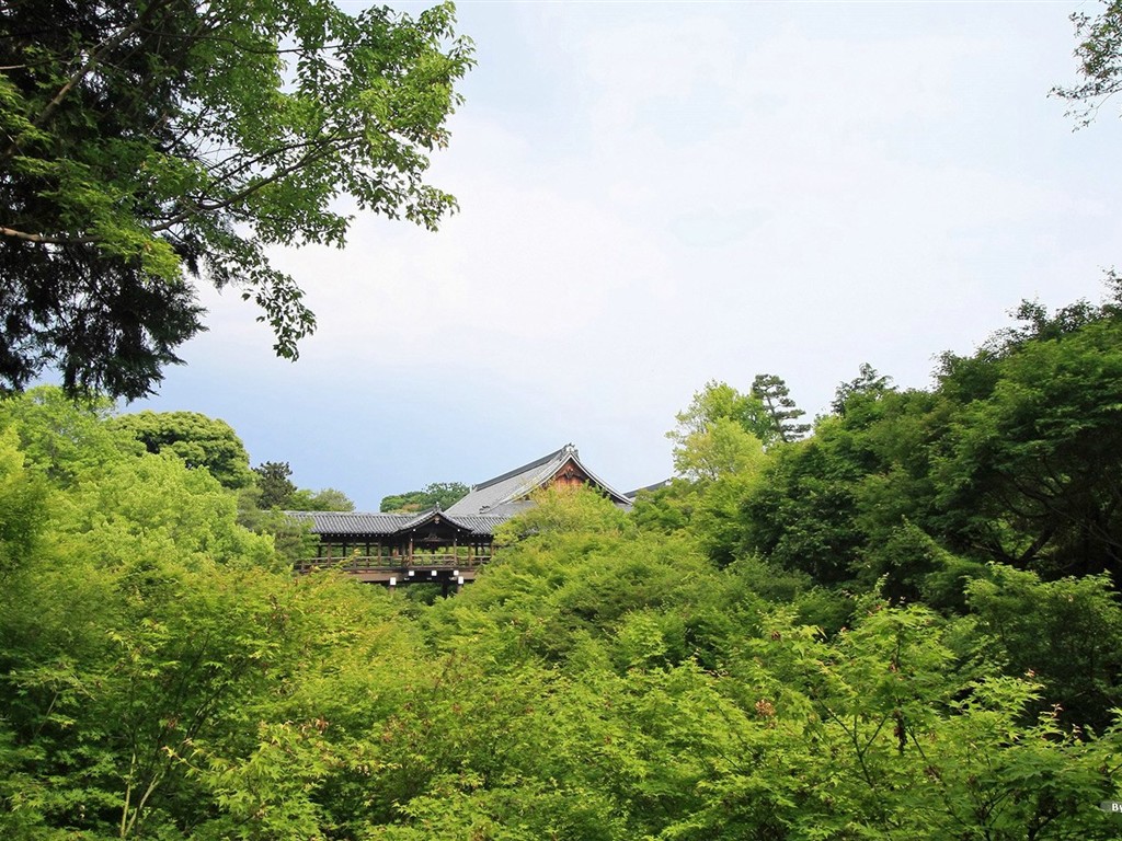 寧靜庭園 公園美景壁紙 #36 - 1024x768