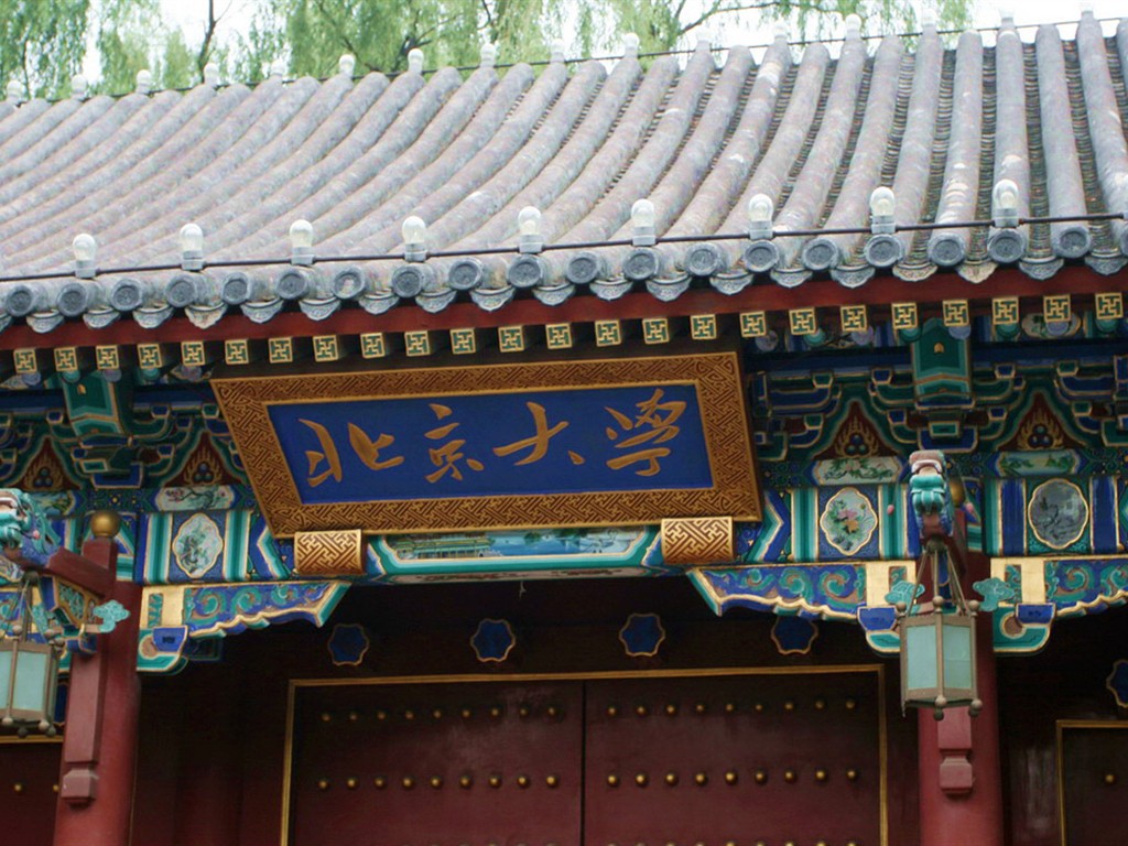 Glimpse of Peking University (Minghu Metasequoia works) #1 - 1024x768