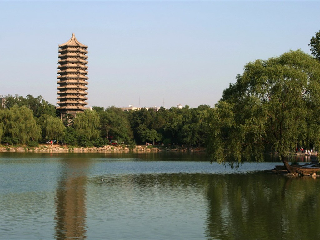 Glimpse of Peking University (Minghu Metasequoia works) #5 - 1024x768