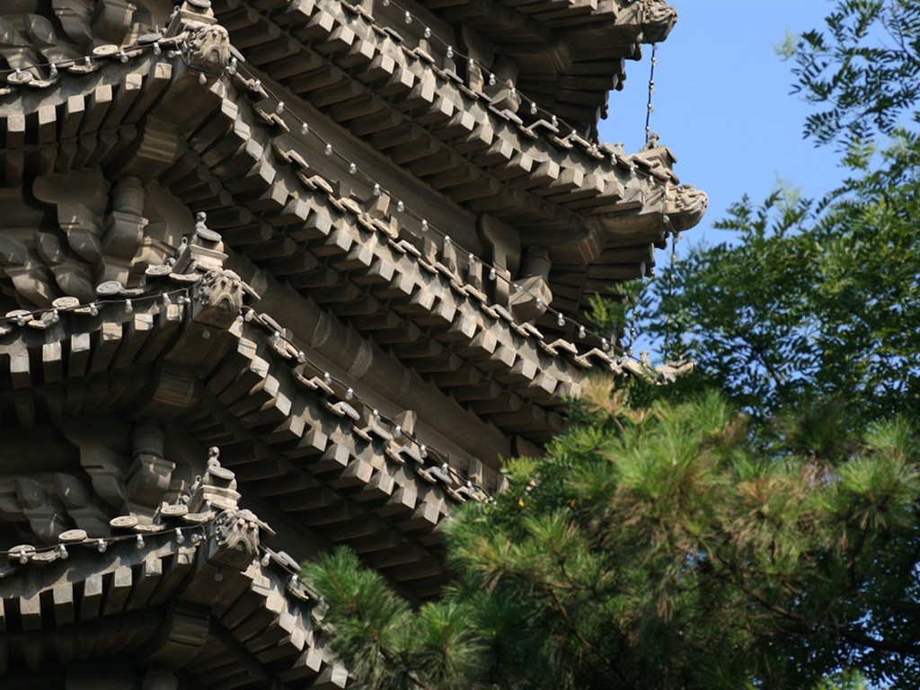 Glimpse of Peking University (Minghu Metasequoia works) #22 - 1024x768