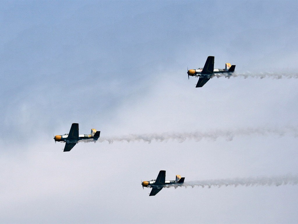 The International Air Sports Festival Glimpse (Minghu Metasequoia works) #4 - 1024x768