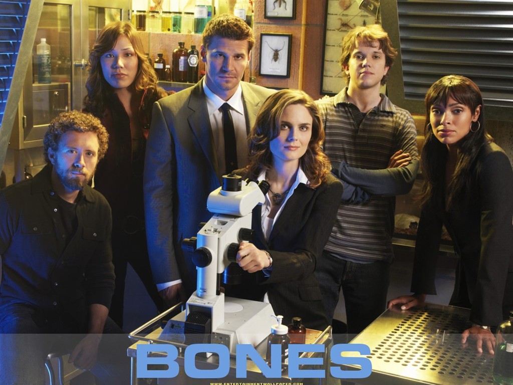 Bones 識骨尋踪 #1 - 1024x768
