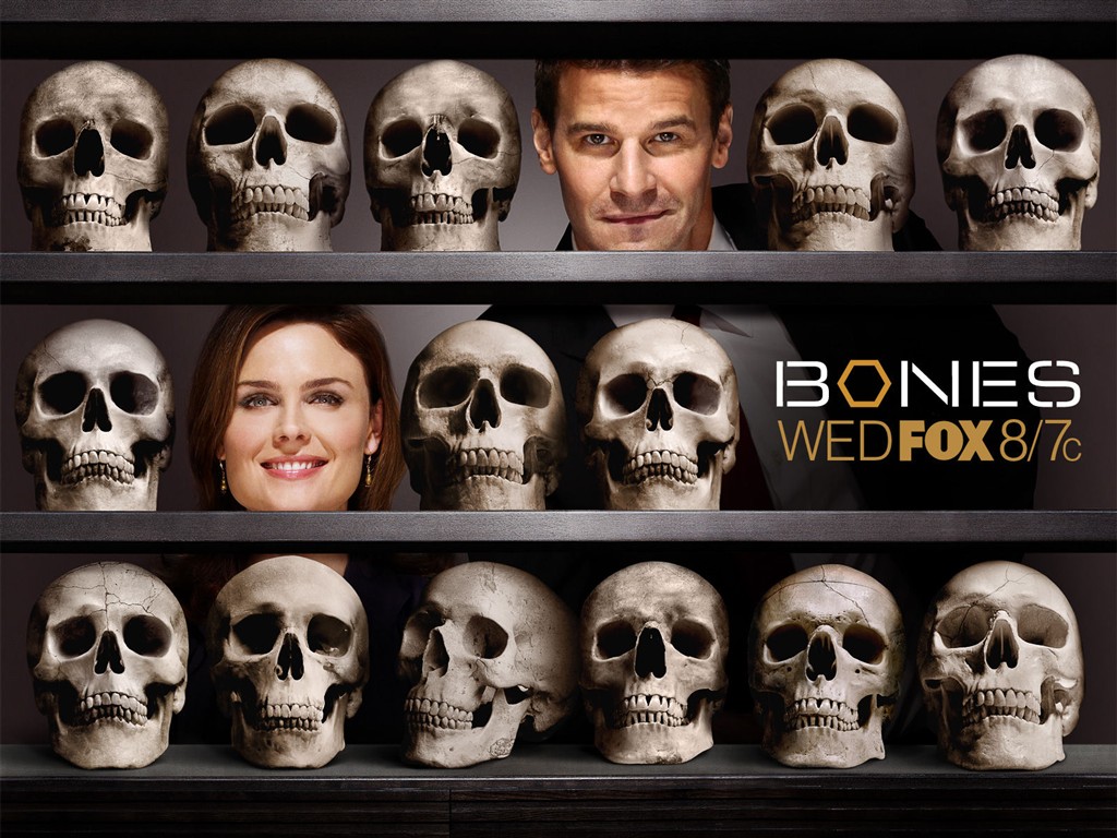 Bones 識骨尋踪 #5 - 1024x768