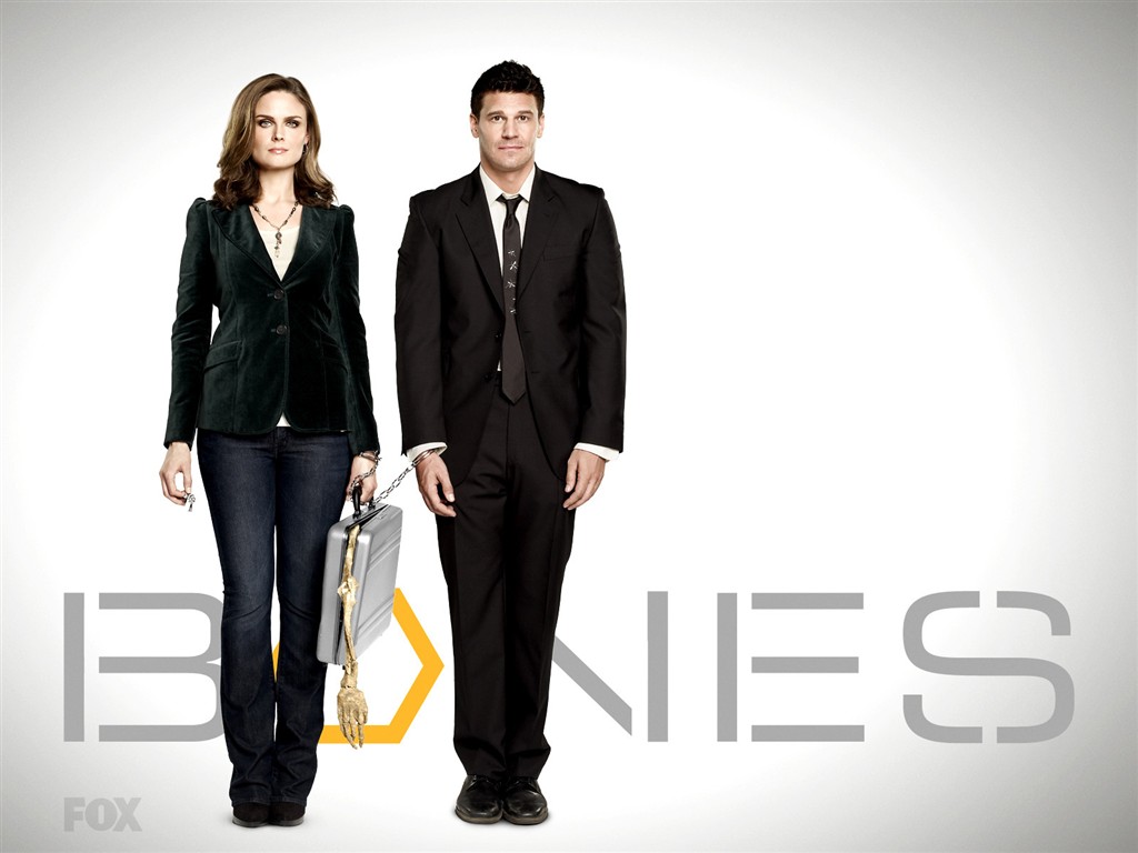 Bones 識骨尋踪 #7 - 1024x768