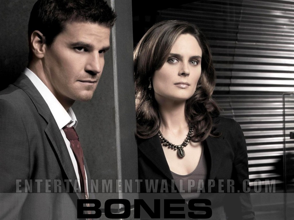 Bones 識骨尋踪 #10 - 1024x768