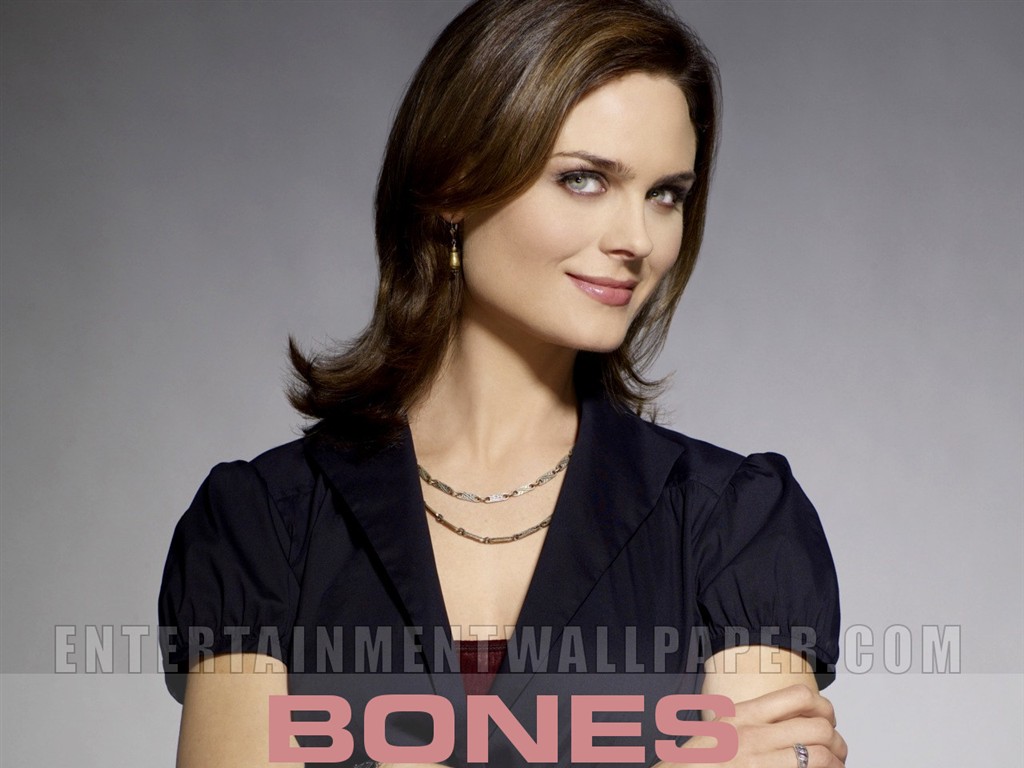 Bones 識骨尋踪 #13 - 1024x768