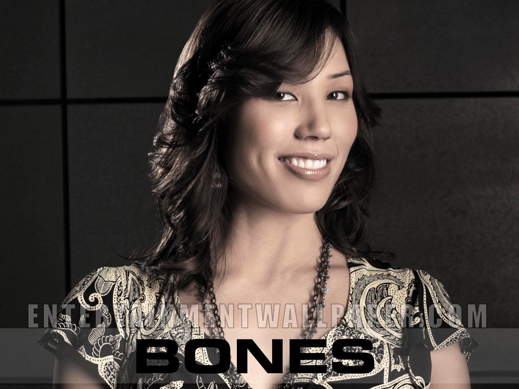 Bones 識骨尋踪 #15 - 1024x768