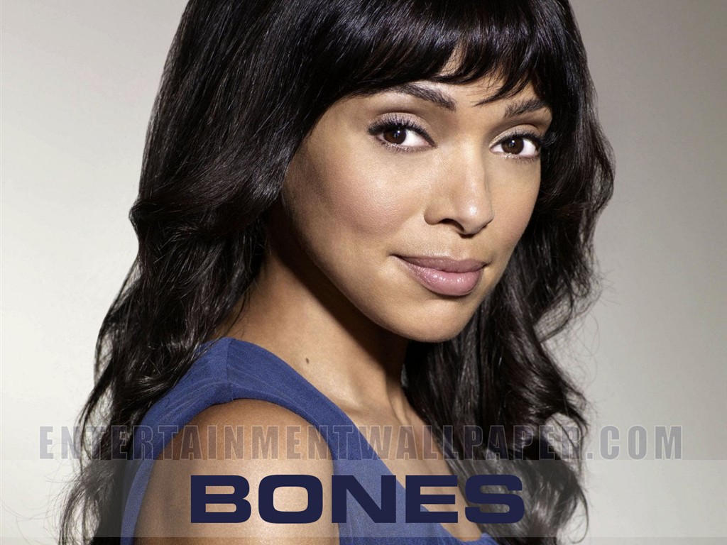 Bones 識骨尋踪 #17 - 1024x768