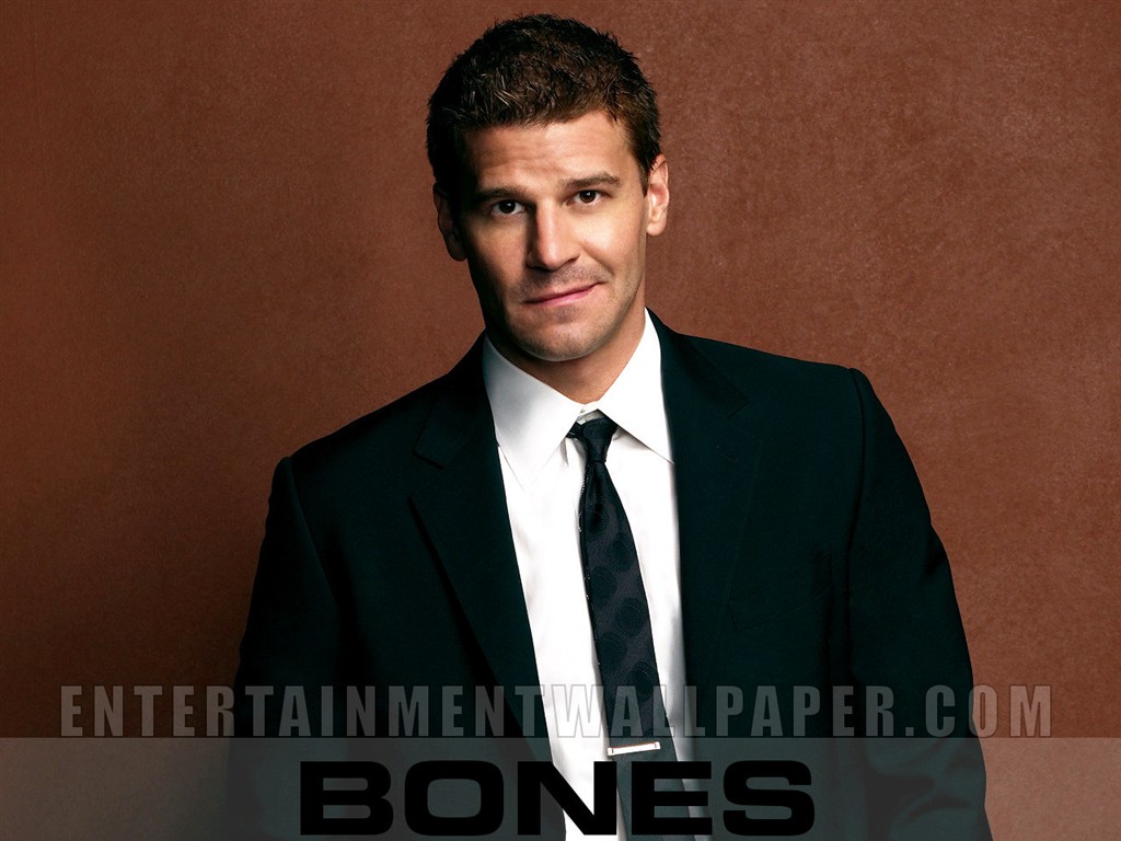 Bones wallpaper #20 - 1024x768