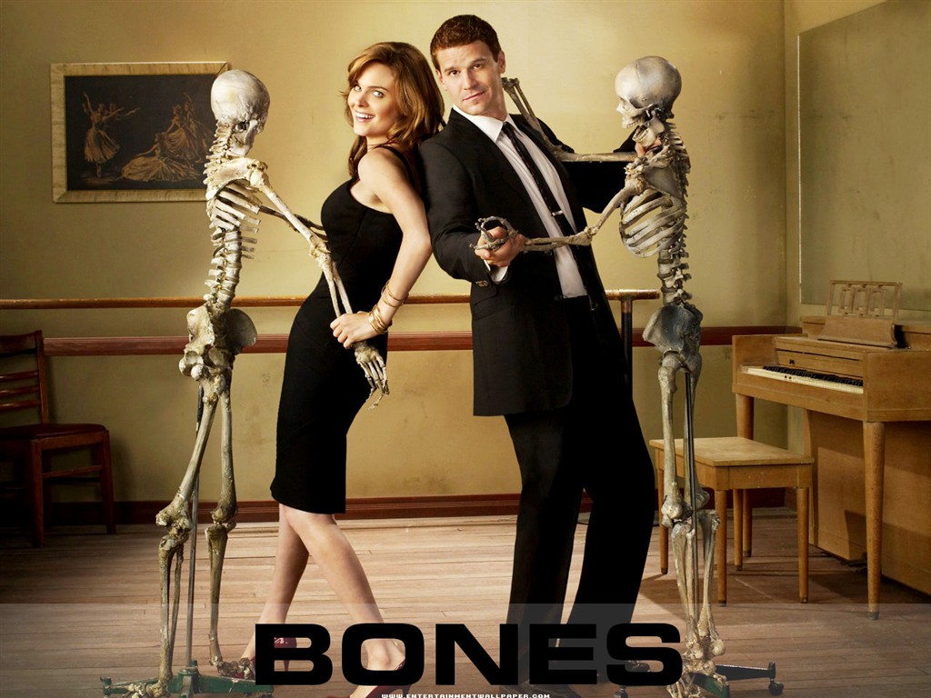 Bones wallpaper #26 - 1024x768