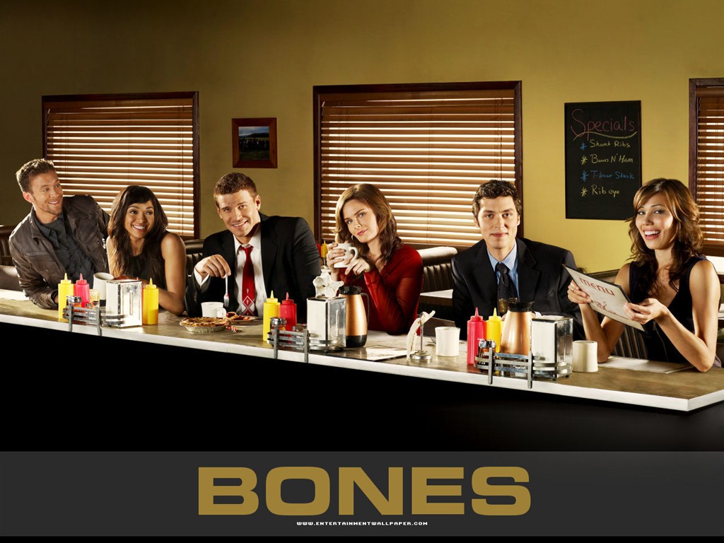 Bones wallpaper #28 - 1024x768