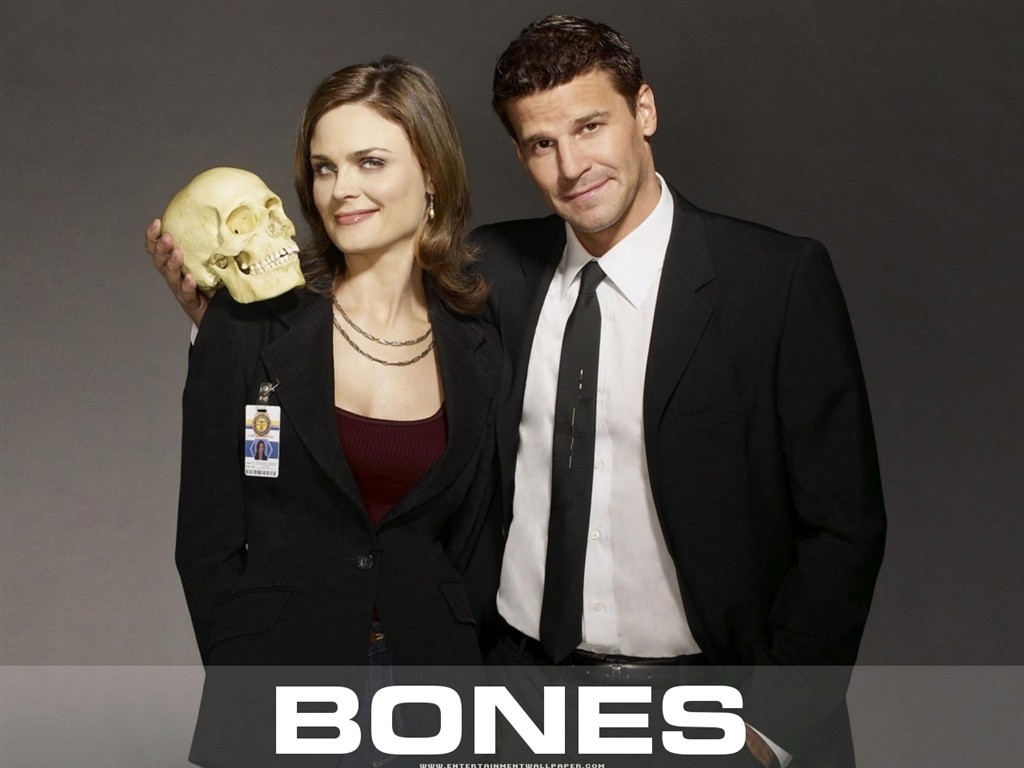 Bones 識骨尋踪 #29 - 1024x768