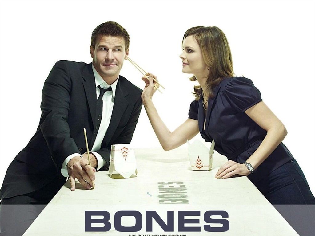 Bones wallpaper #30 - 1024x768