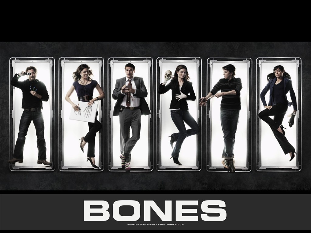 Bones wallpaper #31 - 1024x768