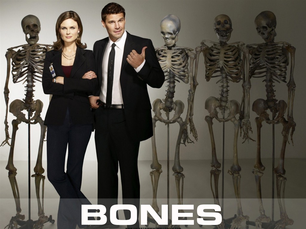 Bones Tapete #32 - 1024x768