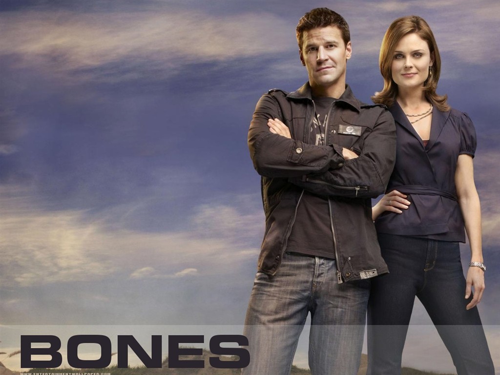 Bones wallpaper #33 - 1024x768