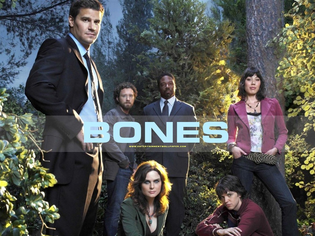 Bones wallpaper #34 - 1024x768