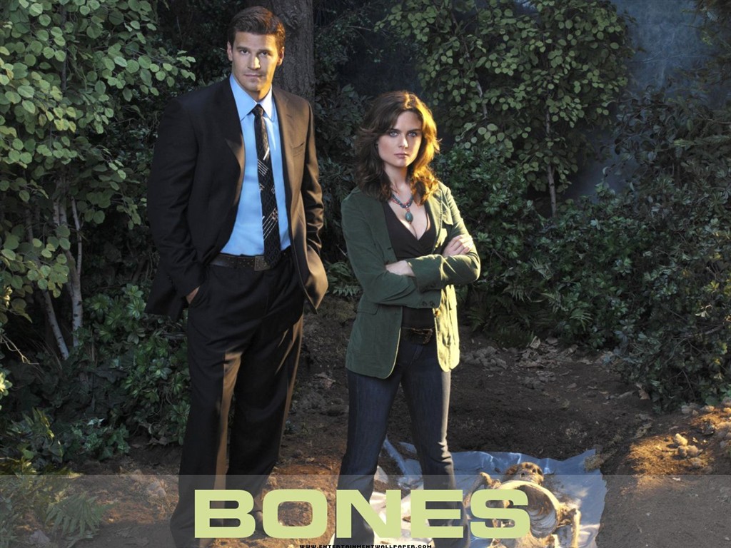 Bones 識骨尋踪 #35 - 1024x768