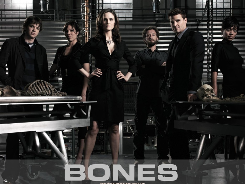 Bones 識骨尋踪 #36 - 1024x768