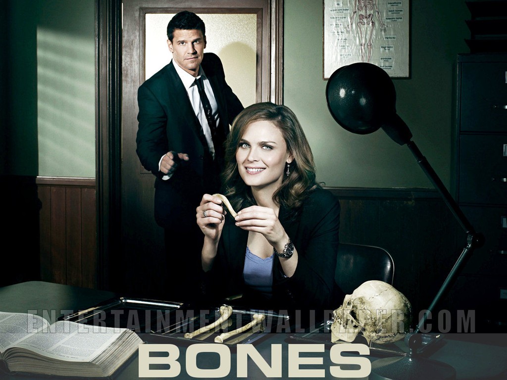 Bones wallpaper #38 - 1024x768