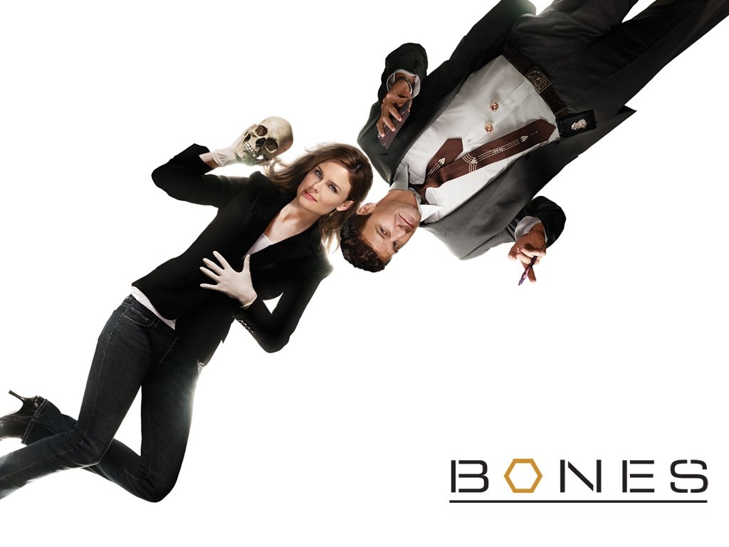 Bones wallpaper #39 - 1024x768