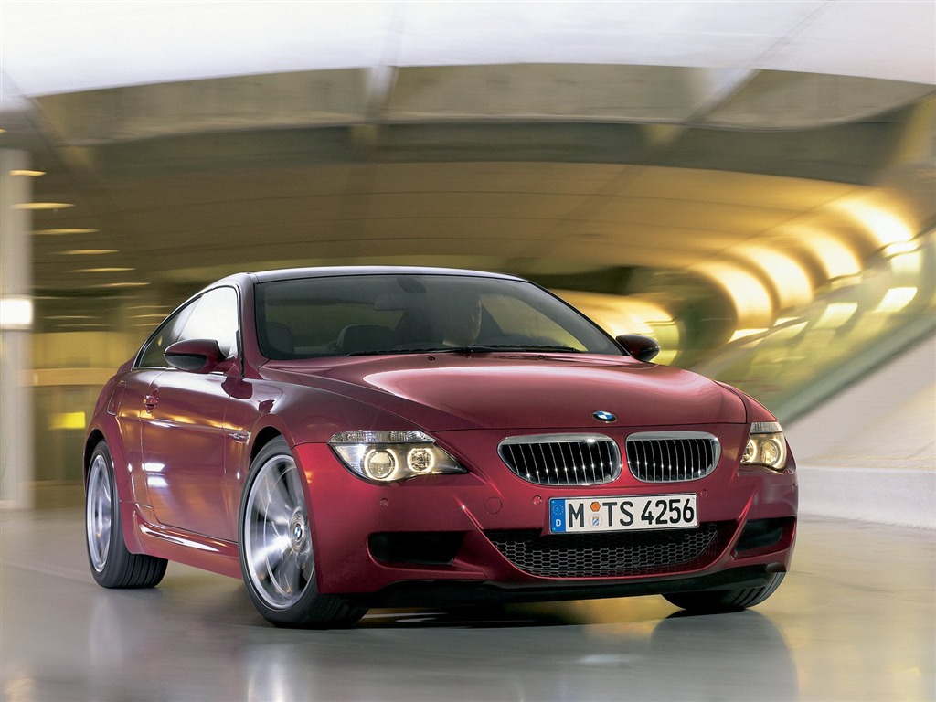 BMW는 - M6 배경 화면 #11 - 1024x768