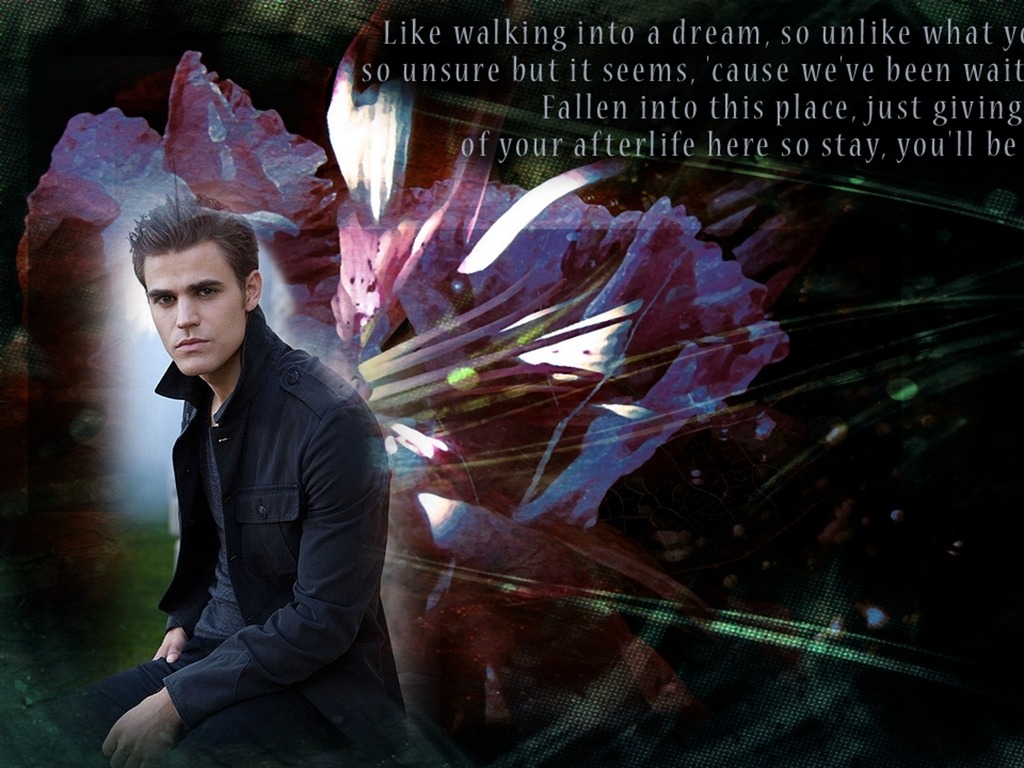 The Vampire Diaries wallpaper #21 - 1024x768