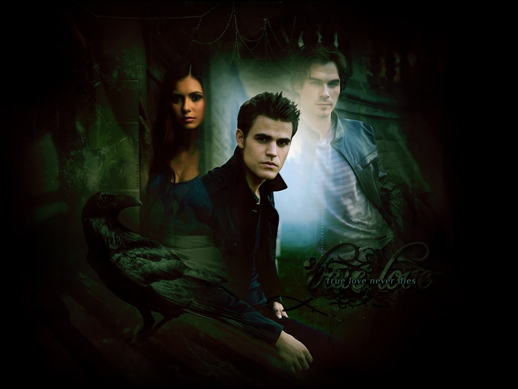 The Vampire Diaries Tapete #24 - 1024x768