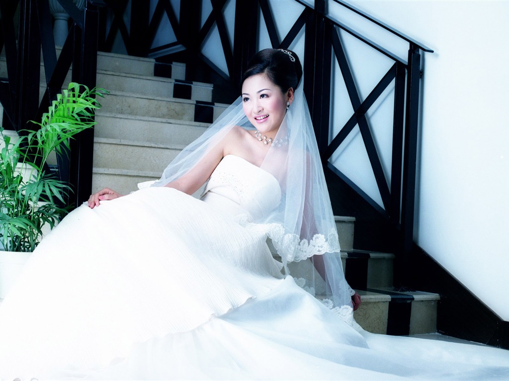 Beautiful Wedding Bride #16 - 1024x768