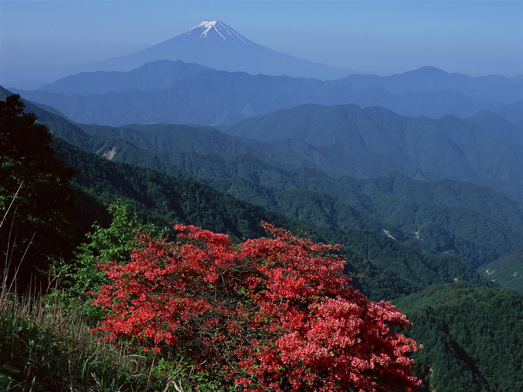 富士山风光壁纸专辑18 - 1024x768